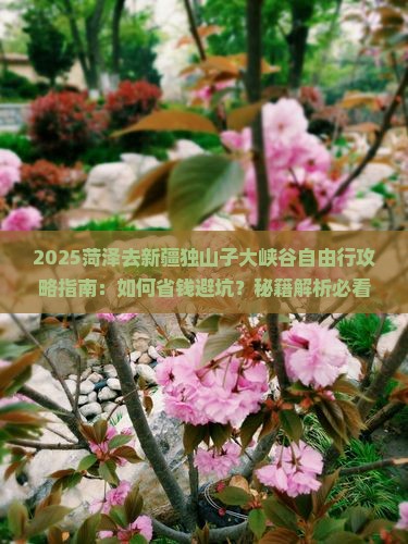 菏泽去新疆独山子大峡谷自由行