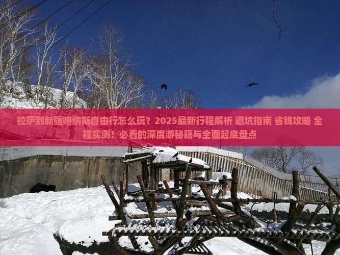 拉萨到新疆喀纳斯自由行
