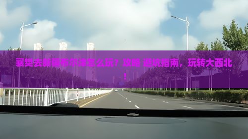 襄樊去新疆布尔津哪里玩
