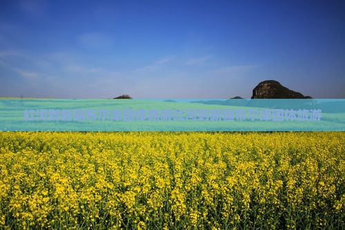 红河到新疆布尔津团体旅游
