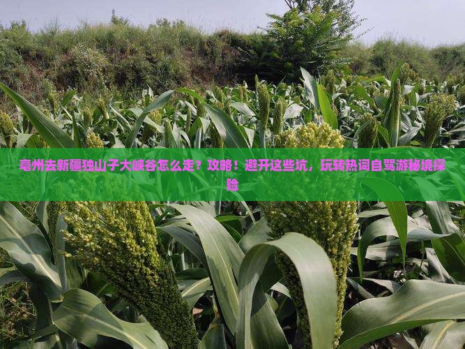 亳州去新疆独山子大峡谷攻略