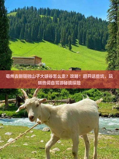 亳州去新疆独山子大峡谷攻略