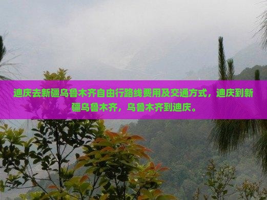 迪庆去新疆乌鲁木齐自由行