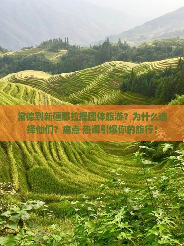 常德到新疆那拉提团体旅游