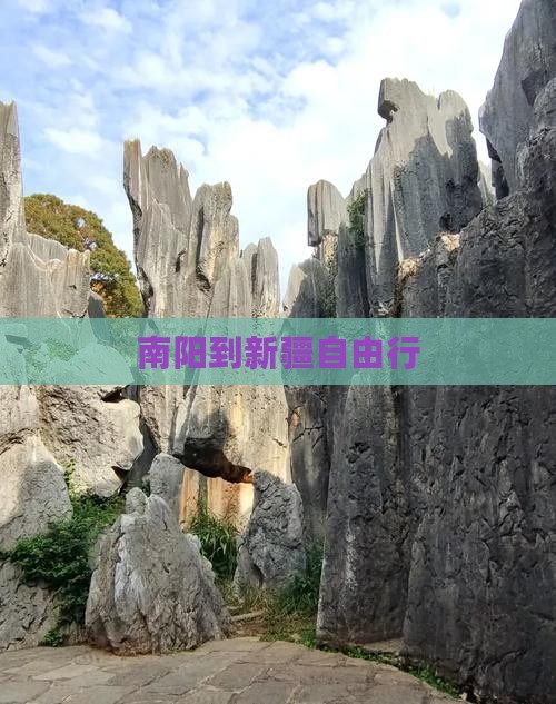南阳到新疆自由行