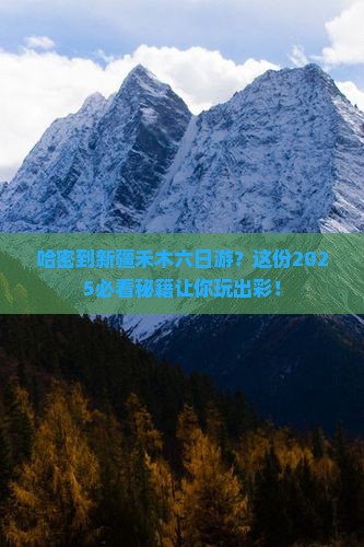 哈密到新疆禾木六日游