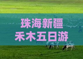珠海去新疆禾木五日游