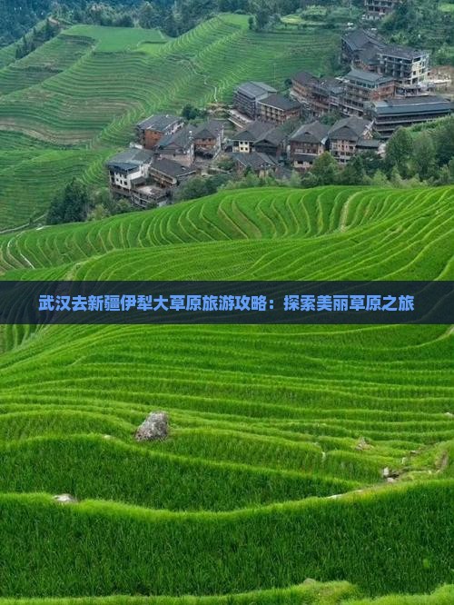 武汉去新疆伊犁大草原门票