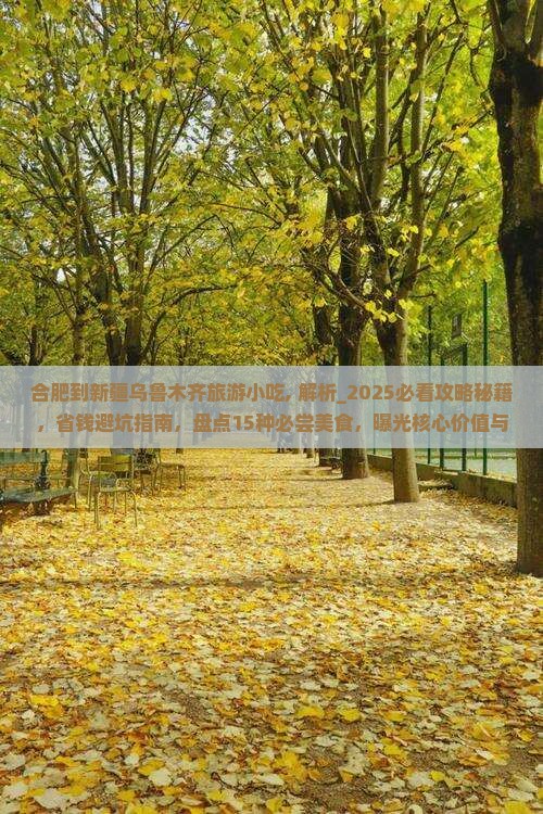 合肥到新疆乌鲁木齐旅游小吃