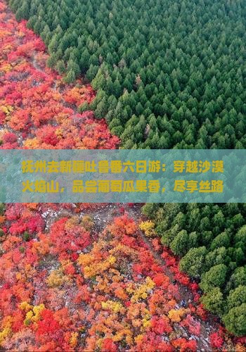 抚州去新疆吐鲁番六日游