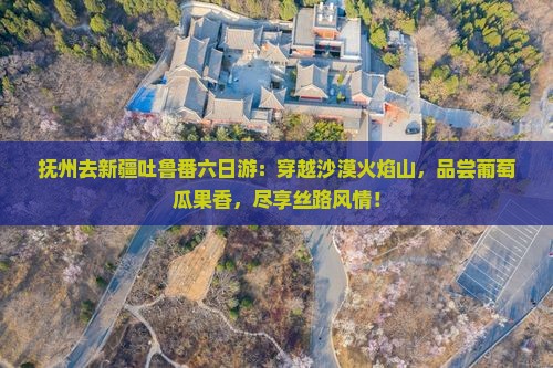 抚州去新疆吐鲁番六日游
