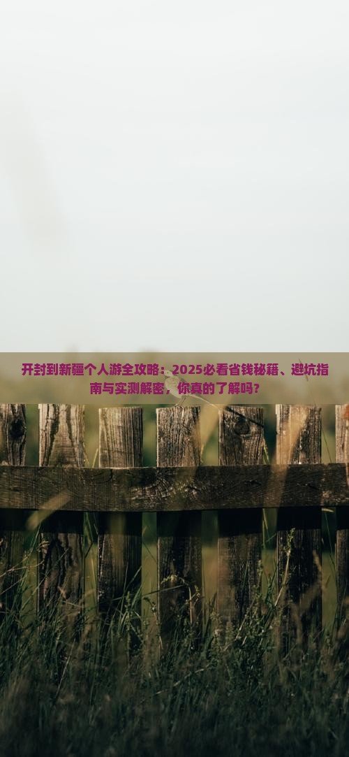 开封到新疆个人游