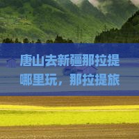 唐山去新疆那拉提哪里玩