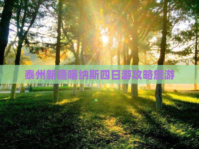 泰州去新疆喀纳斯四日游