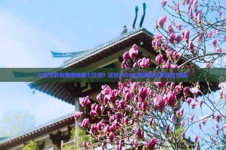 七台河到新疆喀纳斯七日游
