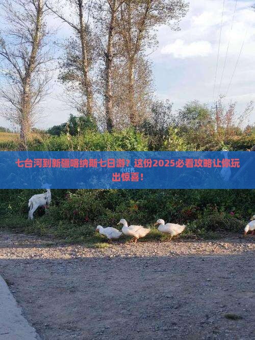 七台河到新疆喀纳斯七日游