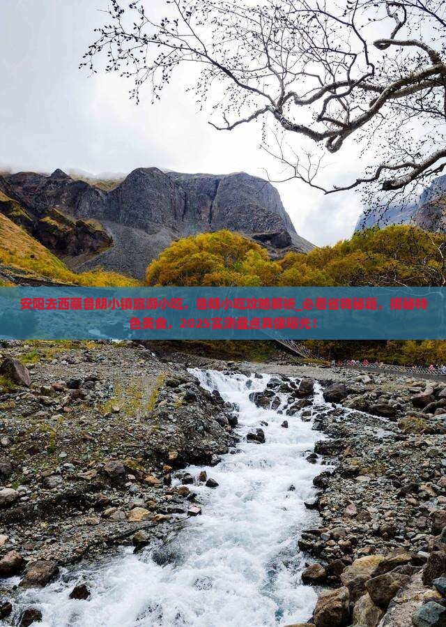 安阳去西藏鲁朗小镇旅游小吃