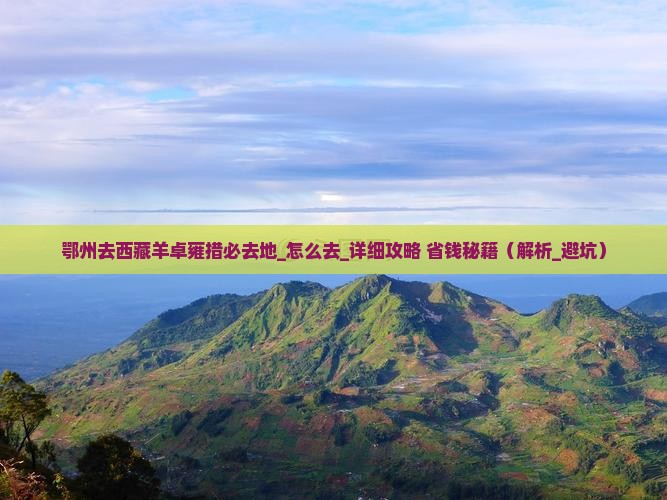鄂州去西藏羊卓雍措必去地