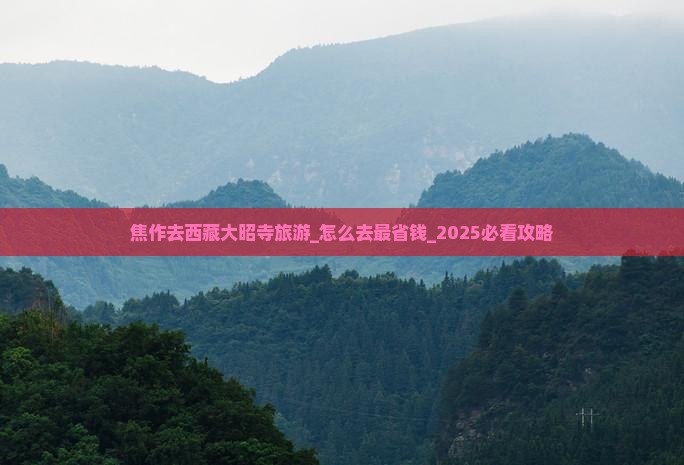 焦作去西藏大昭寺旅游