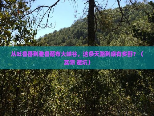 吐鲁番到西藏雅鲁藏布大峡谷攻略 吐鲁番到西藏雅鲁藏布大峡谷攻略