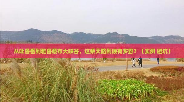 吐鲁番到西藏雅鲁藏布大峡谷攻略 吐鲁番到西藏雅鲁藏布大峡谷攻略
