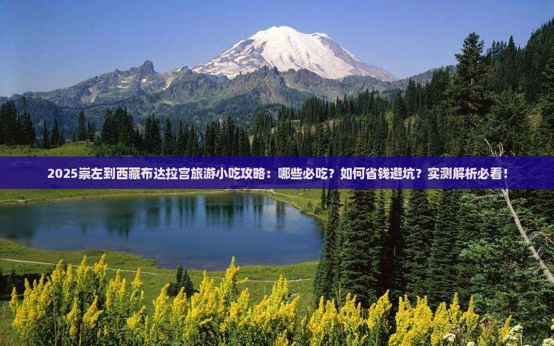 崇左到西藏布达拉宫旅游小吃