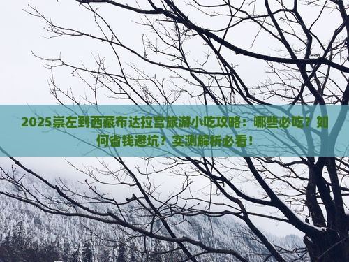 崇左到西藏布达拉宫旅游小吃
