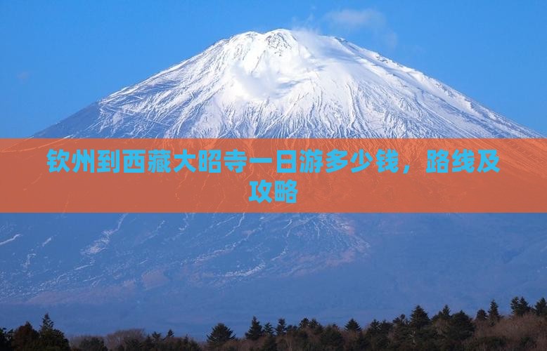 钦州到西藏大昭寺一日