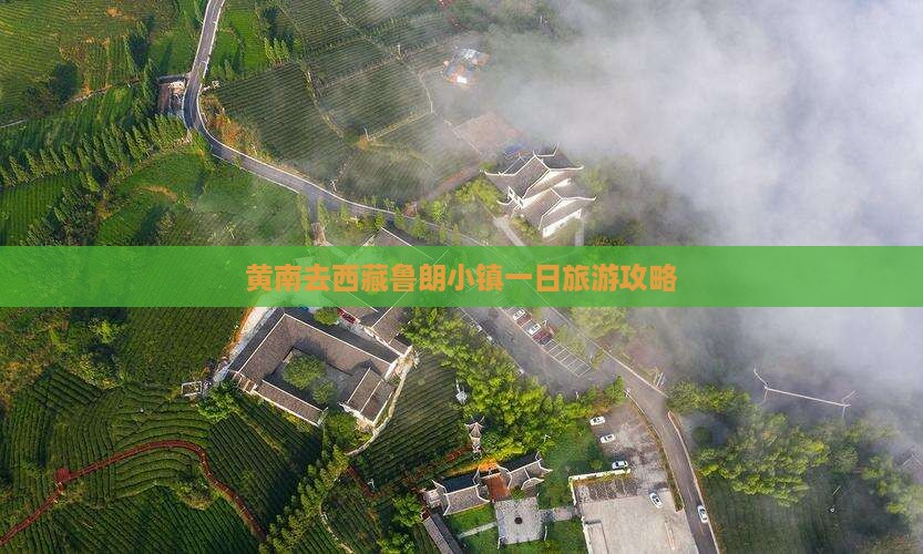 黄南去西藏鲁朗小镇一日