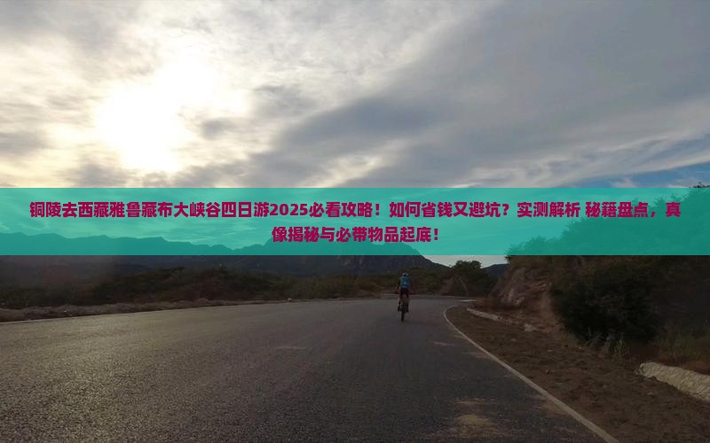 铜陵去西藏雅鲁藏布大峡谷四日游