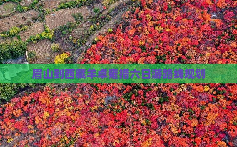 眉山到西藏羊卓雍措六日游