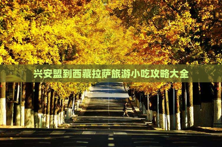 兴安盟到西藏拉萨旅游小吃