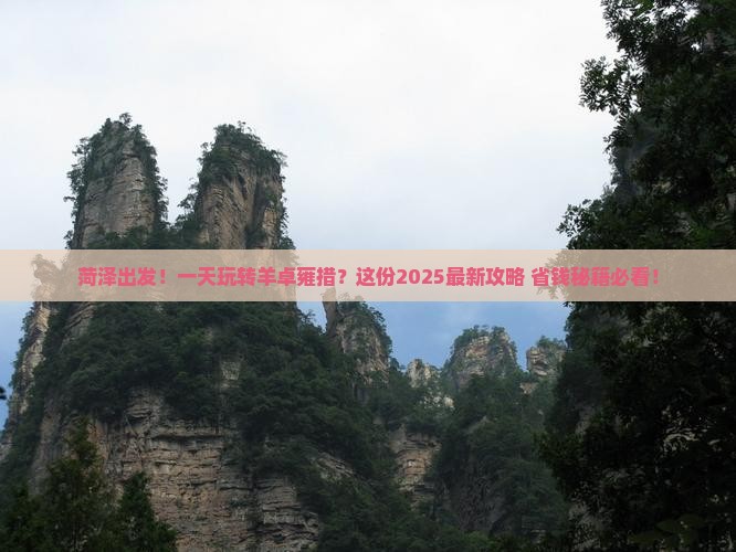 菏泽去西藏羊卓雍措一日
