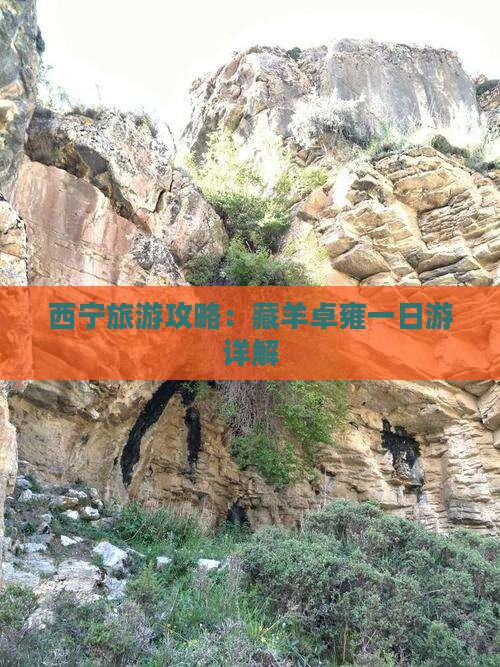 西宁去西藏羊卓雍措攻略