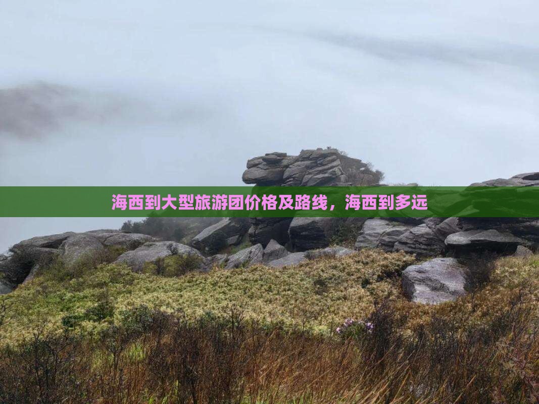 海西到西藏大型旅游团