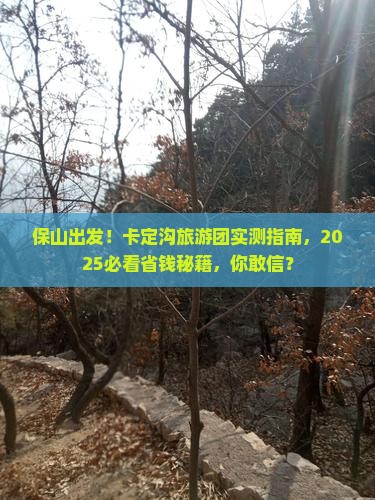 保山去西藏卡定沟大型旅游团