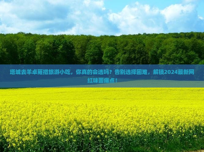 塔城去西藏羊卓雍措旅游小吃