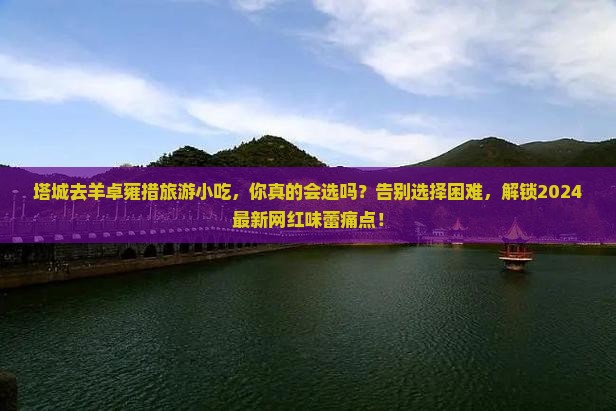 塔城去西藏羊卓雍措旅游小吃