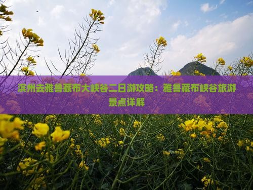 滨州去西藏雅鲁藏布大峡谷二日游