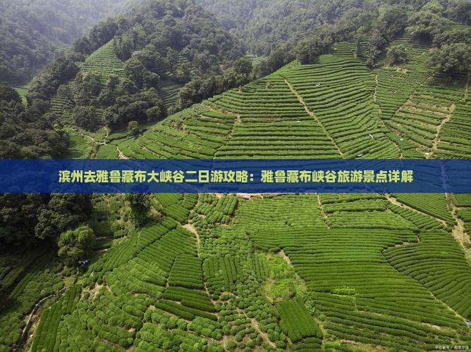 滨州去西藏雅鲁藏布大峡谷二日游