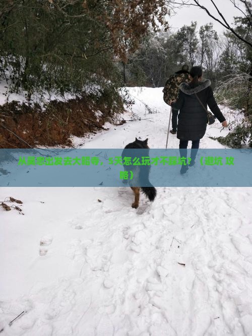 吴忠去西藏大昭寺自由行