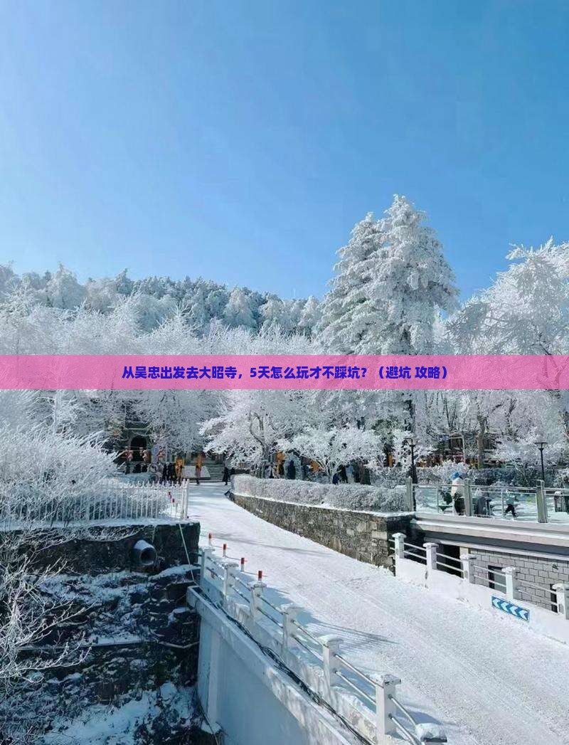 吴忠去西藏大昭寺自由行