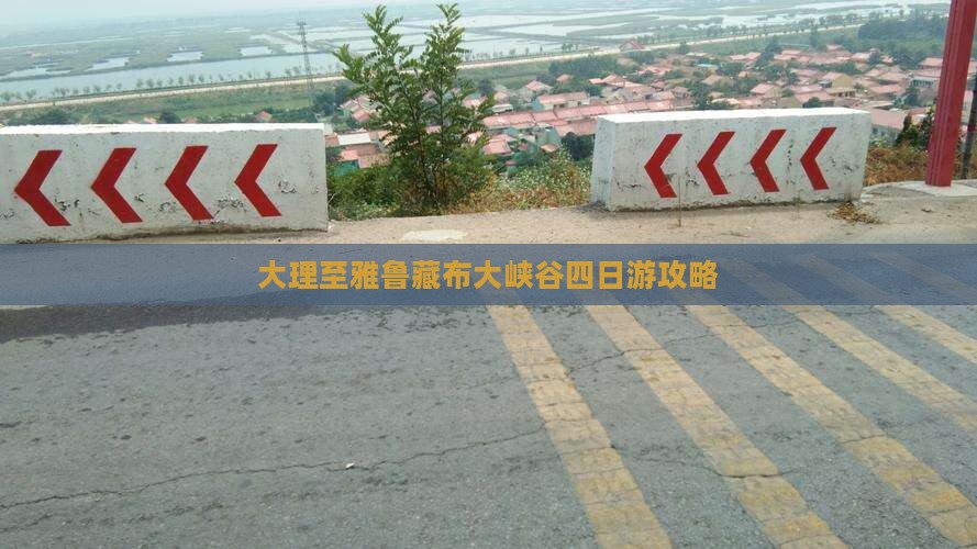 大理去西藏雅鲁藏布大峡谷四日游