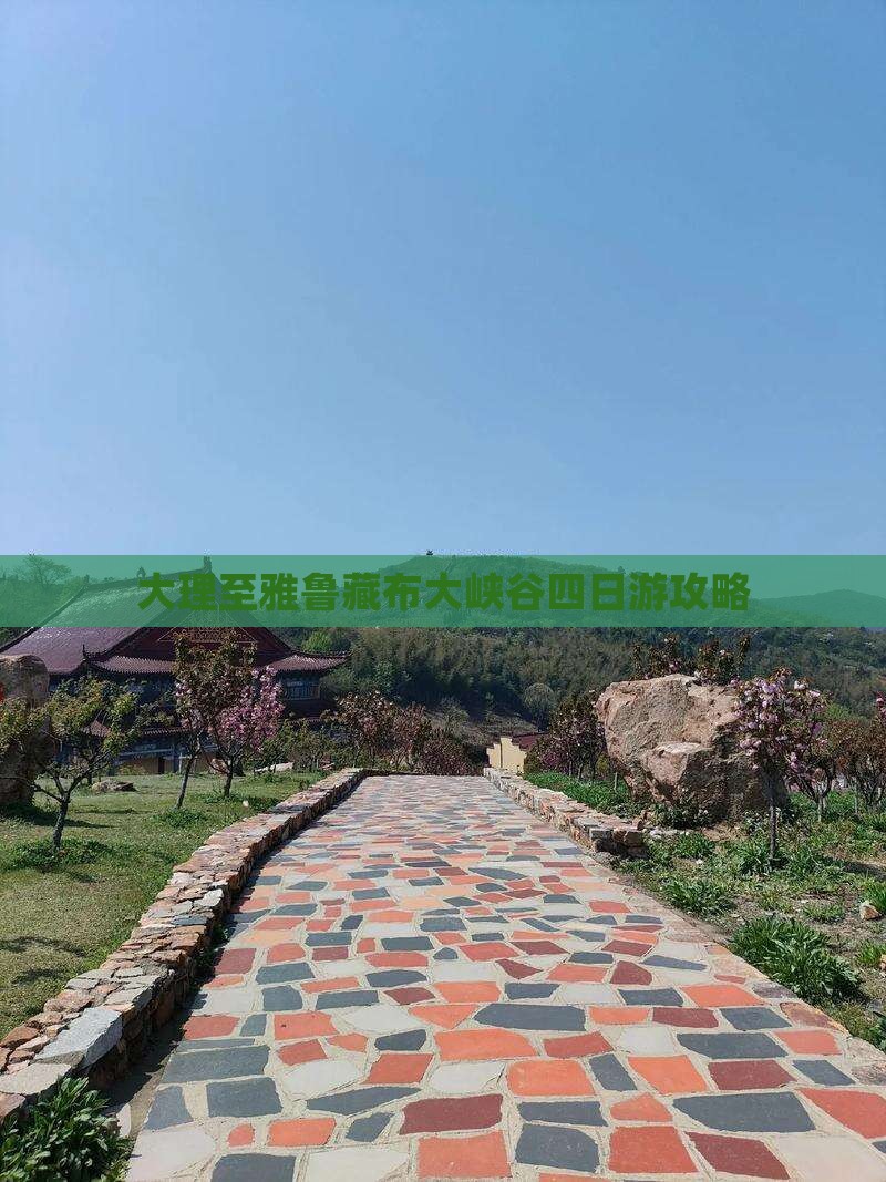 大理去西藏雅鲁藏布大峡谷四日游