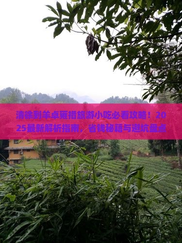 清徐到西藏羊卓雍措旅游小吃