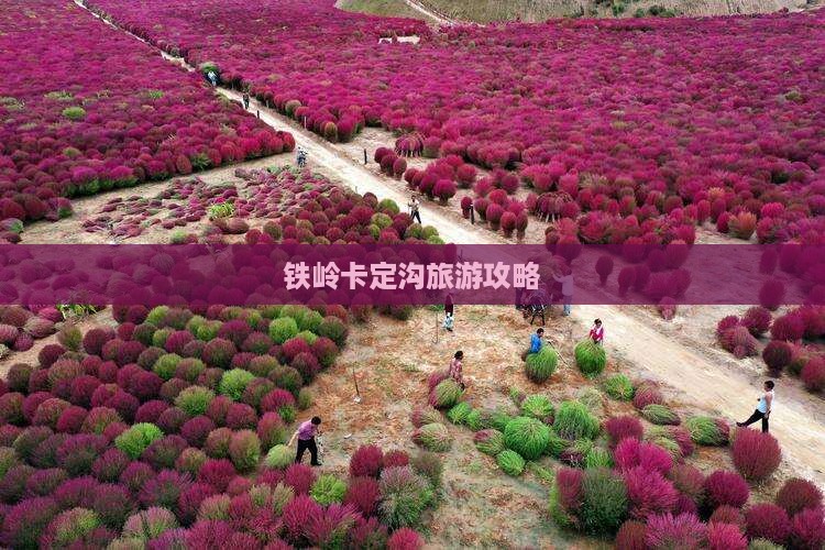 铁岭到西藏卡定沟景点