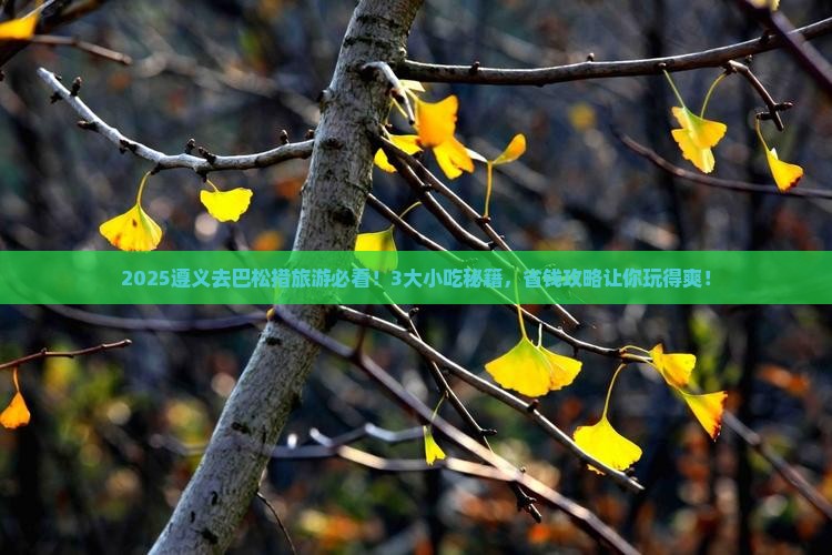 遵义去西藏巴松措旅游小吃