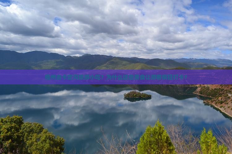 梧州去西藏卡定沟旅游小吃