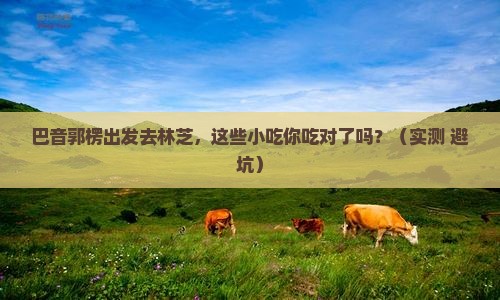 巴音郭楞去西藏林芝旅游小吃
