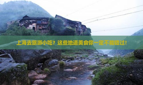 上海去西藏旅游小吃
